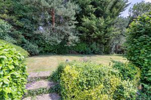 Photo 12- click for photo gallery